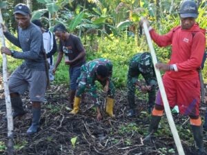 Satgas TMMD ke-126 Kodim 1505 Tidore Bersama Masyarakat Tanam Jagung di Lahan Ketahanan Pangan