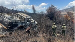 Kekerasan OPM Tewaskan Sopir Angkutan Masyarakat, TNI Perkuat Pengamanan dan Kejar Pelaku